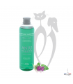 AN704 Shampooing Anju Beaute PURIFIANT CAMPHRE 250ml