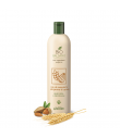After Shampoo Bio Protector soft almond and Germe de Blé 7009 Record