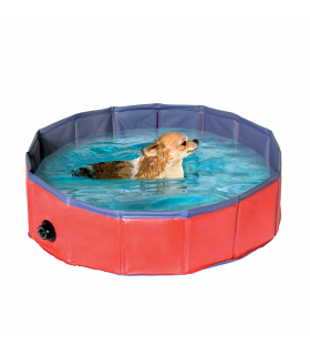 C794 Dog pool Camon