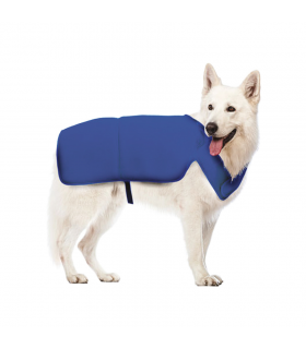 Dog refreshing jacket Croci