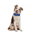 Cooling collar with blue integreder gel Croci