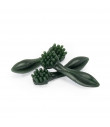 AB520 Friandises In Green Dent Shape Camon