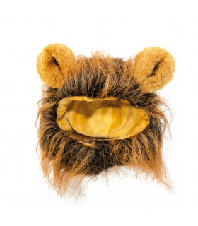 Headdress of Lion Croci