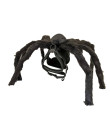 Velue Spider Dog Harness Croci