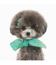 Foulard in Pois mint and Pink Amyslovepet