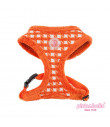 AC7174 Harnais Pinkaholic Cosmo Harnesss Orange