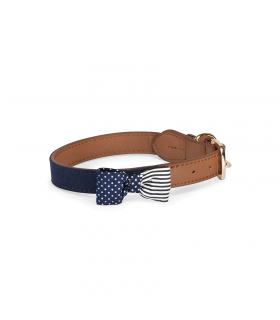 DC164 American Flag Collar Collar Camon