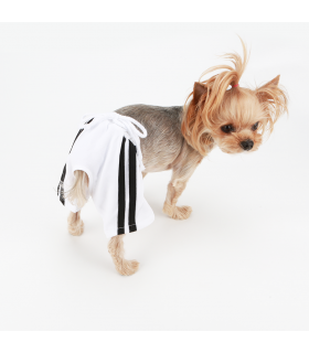 OR081 Pantalon Football Uniform Pants Puppy Angel White
