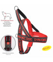 DC199 Neoprene Dynamic harness Camon Red