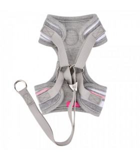 HC7401 Cara Harness Pinkaholic Grey