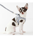 Harness and Leave Blue Liberty Amyslovepet