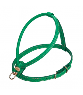 Green Leather Round Harness Camon